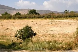 هشدار نسبت به نابودی باغ‌های سیب سمیرم؛ خشکسالی و برداشت‌های غیرمجاز آب، کشاورزی منطقه را به زانو درآورد