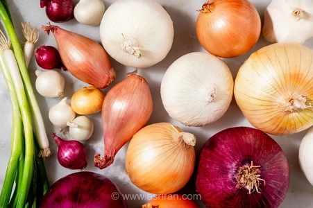 راز خوشمزگی غذاها در انتخاب پیاز مناسب؛ راهنمای جامع شناخت انواع پیاز و کاربرد دقیق آن‌ها در آشپزی