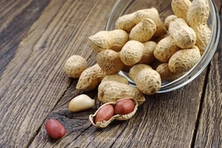 پیوند مدفوع، راهکار درمانی نوآورانه برای آلرژی شدید به بادام زمینی