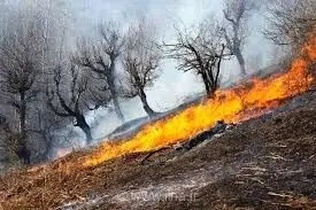 مهار آتش‌سوزی در باغملک و لالی با همکاری نیروهای یگان حفاظت و مردم