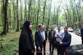 خیز گیلان برای ثبت جهانی گیسوم؛ ساماندهی دستفروشان و توسعه زیرساخت‌های گردشگری در اولویت استانداری قرار گرفت