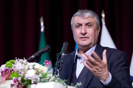 واکنش رئیس سازمان انرژی اتمی به ممانعت از حضور در کنفرانس آژانس