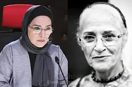 مهشید نونهالی: این‌طور حرف زدن در خانواده ما رایج است