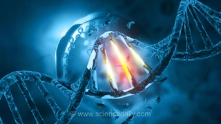 تحقیقات جدید: محصول جانبی شیرین‌کننده محبوب Splenda به DNA سلول‌های انسانی آسیب می‌زند