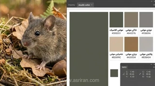 رنگ موشی: راهنمای کامل انواع رنگ موشی و تفاوت آن با طوسی