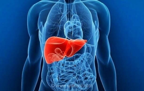ادویه‌های مفید برای سلامت کبد: زردچوبه، دارچین و زنجبیل
