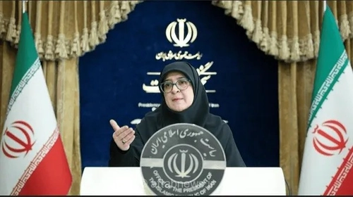 سخنگوی دولت: ورود در صورت افزایش فشار اقتصادی بر مردم