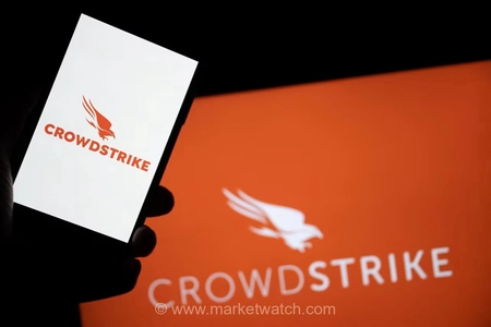 عملکرد بی‌سابقه سهام نرم‌افزاری: CrowdStrike و Palo Alto Networks پیشتاز