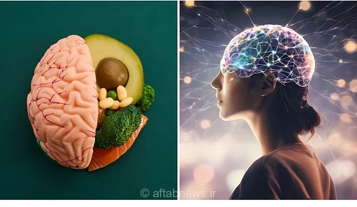 مغز انسان چگونه بزرگ شد؟