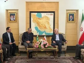 رایزنی وزیر کشور پاکستان با مقامات ایرانی درباره پیشبرد صلح