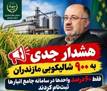 هشدار به شالیکوبی‌های مازندران / ثبت‌نام محدود و موجودی پنهان برنج