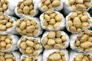 کاهش قیمت سیب‌زمینی در راه؛ وعده مدیرعامل سازمان میادین میوه و تره‌بار