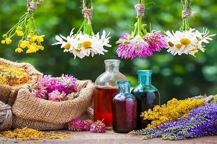 گیاهان دارویی و سبک زندگی سالم، همراهان قدیمی تندرستی