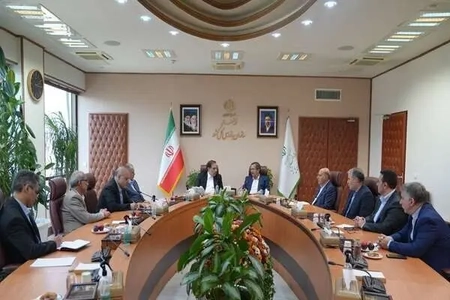 تعامل سازمان بازرسی و بانک مرکزی برای شناسایی فساد