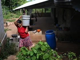 هشدار دانشمندان: پدیده ال نینو می‌تواند جان بیش از 450 هزار نفر را بگیرد