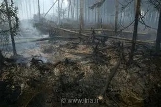 آتش‌سوزی گسترده در بلژیک ادامه دارد؛ تلاش برای مهار بزرگ‌ترین آتش‌سوزی جنگلی ثبت‌شده