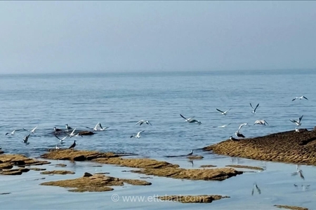 دریای خزر: مسیر استراتژیک روسیه و ایران برای دور زدن تحریم‌ها
