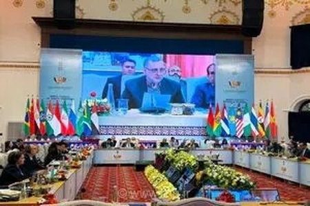 نماینده ایران زبان فرهنگ را راهکار صلح جهانی دانست/ از حضور فعال در کارگروه فرهنگی بریکس تا توافقات کلیدی با اندونزی و هند