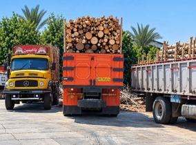 توقیف ۶ محموله چوب قاچاق در شوش و محکومیت متخلفان