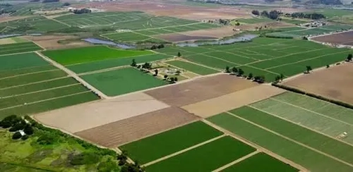شناسایی بیش از ۱۵۰۰ مورد تغییر کاربری غیرمجاز اراضی در فارس
