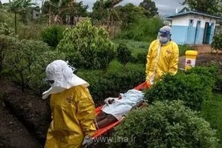 آمار تلفات شیوع ابولا در کنگو به ۲۶۷ تن رسید