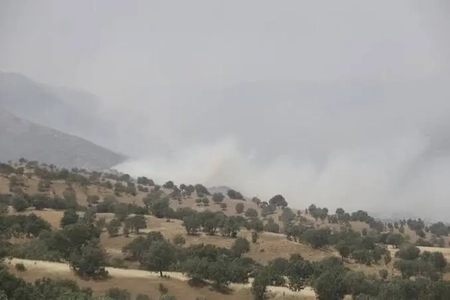 کاهش چشمگیر حریق در جنگل‌ها و مراتع لرستان در سال ۱۴۰۵