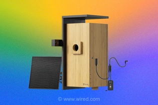 بررسی جامع Birdfy Nest Duo؛ تجربه تماشای مستند طبیعت در حیاط خانه با دوربین‌های هوشمند