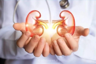 ۶ عادت ساده برای حفظ سلامت کلیه‌ها و پیشگیری از بیماری‌ها