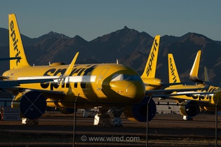 جنجال فروش داده‌های کارکنان Spirit Airlines به گوگل برای آموزش هوش مصنوعی و اعتراض مهمانداران سابق
