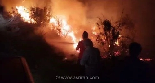 دهمین آتش‌سوزی در میانکاله؛ سوختن تجهیزات اطفای حریق در میان شعله‌های سرکش پناهگاه حیات وحش مازندران