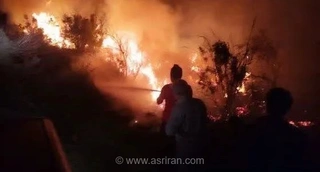 دهمین آتش‌سوزی در میانکاله؛ سوختن تجهیزات اطفای حریق در میان شعله‌های سرکش پناهگاه حیات وحش مازندران