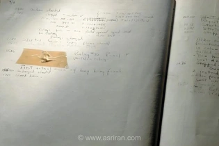 اولین «باگ» کامپیوتری یک شب‌پره بود/ داستانی از آغاز رفع اشکال
