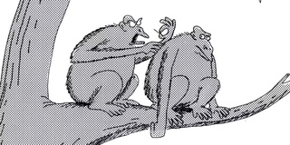 ۱۰ کمیک برتر «Far Side» دهه ۱۹۸۰، رتبه‌بندی شده