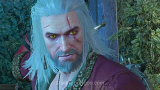 همکاری غافلگیرکننده CD Projekt Red و بلیزارد؛ ویچر ۳ در راه Battle.net و کراس‌اوور با دیابلو