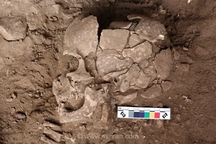 مصرف مواد روان‌گردان از ۲۵ هزار سال پیش؛ کشف آرکولین در دندان‌های انسان‌های اولیه