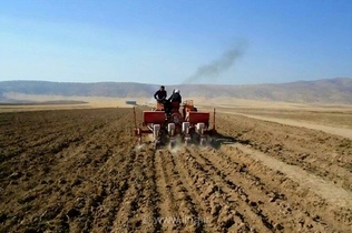 آغاز کشت پاییزه در مازندران با تاکید بر تامین نهاده‌ها