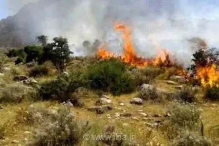 مهار آتش‌سوزی در میانکاله؛ ۵ هکتار از پوشش گیاهی طعمه حریق شد