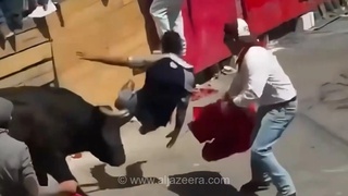 مرگ تراژیک مرد ۲۹ ساله در بزرگ‌ترین رویداد سالانه گاوبازی در مکزیک