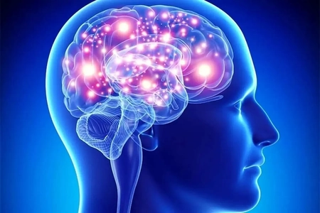 فراموشی نام‌ها و واژه‌ها: حواس‌پرتی یا اختلال حافظه؟