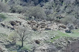 شناسایی روستای صفوی‌دورۀ متروک رویین در جنگل‌های فارس