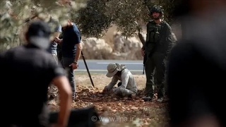 زخمی شدن دو فلسطینی در تیراندازی شهرک‌نشینان صهیونیست در کرانه باختری