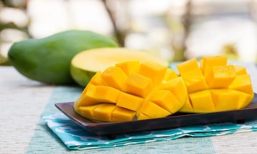 10 ماده غذایی با ترکیبات سمی طبیعی؛ کدام بخش‌ها خطرناک هستند؟