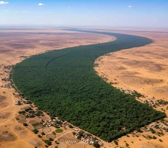 دیوار سبز ۸۰۰۰ کیلومتری آفریقا برای نجات زمین (+عکس)