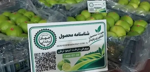 نصب کد کیوآر بر روی خرما و لیموترش فارس برای رهگیری محصول