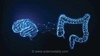 ارتباط قابل توجه بین اختلال نقص توجه/بیش فعالی (ADHD) و مشکلات گوارشی در مطالعه‌ای بزرگ
