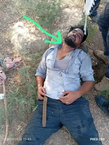 حمله به کارگر حراست هفت‌تپه و نگرانی از امنیت مزارع نیشکر