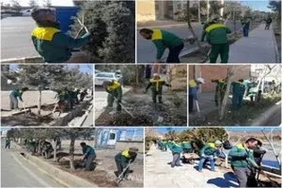 تثبیت امنیت شغلی نیروهای فضای سبز شهر اراک / تبدیل وضعیت از اشتغال موقت به نیروی تمام سال
