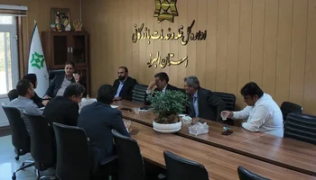 بررسی کیفیت آرد و نان در البرز؛ بازنگری قیمت نان کامل