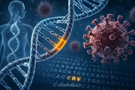 ردپای ویروس‌های باستانی در DNA انسان: مطالعه‌ای نو در شناخت سازوکارهای زیستی بدن