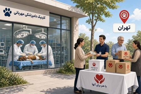 کلینیک‌های دامپزشکی خیریه تهران: راهنمای خدمات حمایتی حیوانات